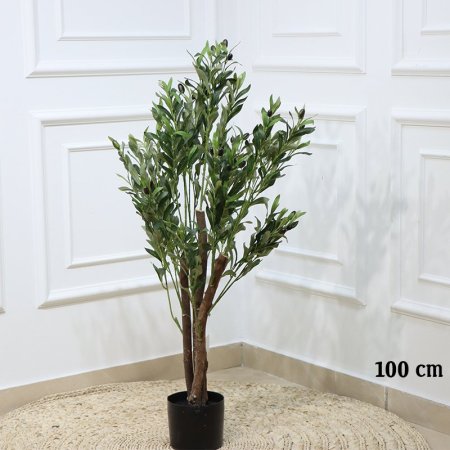 قوار اسود 100سم شجرة زيتون EL163/7 =رم6