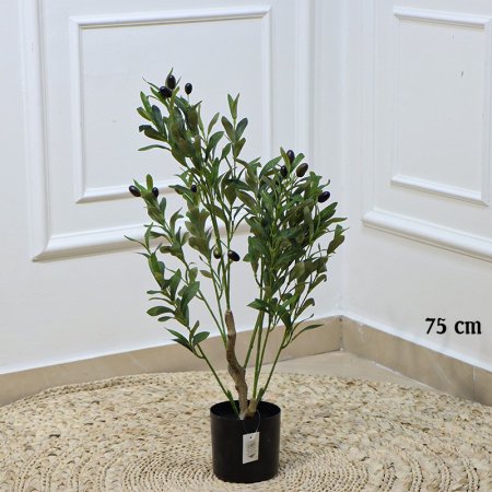 قوار اسود 75سم شجرة زيتون EL163/8 =رم6