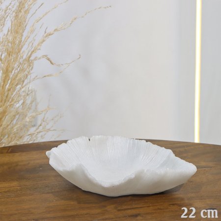صحن مكسرات 22سم ريزن ابيض شكل محار EL158/19 =ت.ش2