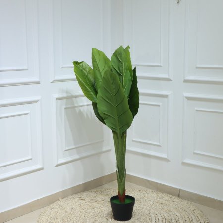 قوار شجرة اسود ورق موز عريض EL143/2 =ت.ش2