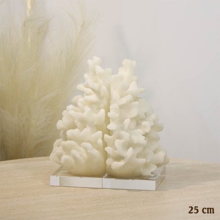 طقم تحفة/2 بولاريزن 25سم شعب مرجانية بقاعدة زجاج شفاف A26/17 =ع5