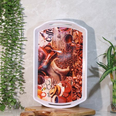 صينية بلاستك ابيض مستطيل 25*41سم وجه مرسم بيدين A213/15 =ع4