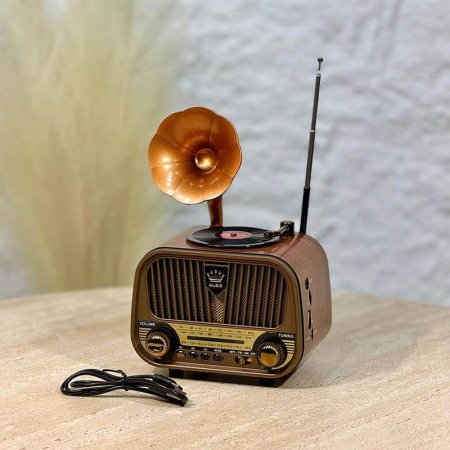 فونوجراف ردايو مستطيل شكل انتيكا A149/4 بطاريات مع سماعة سبيكر بلوتوث  =WW