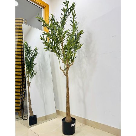 شجرة زيتون 180سم K9/1 قوار بلاستك اسود =VGR3