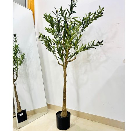 شجرة زيتون 150سم K9/2 قوار بلاستك اسود =VGR3