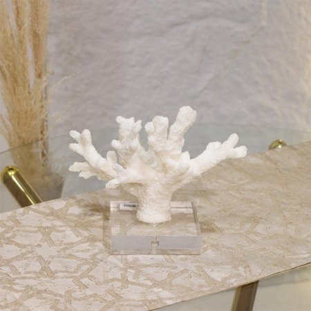 تحفة طحالب بولاريزن قاعدة كرستال EL31/2 =ك7