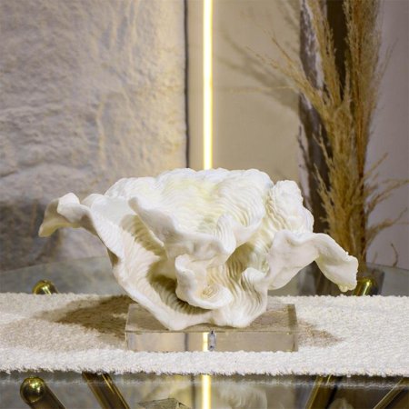 تحفة محار بولاريزن قاعدة كرستال EL31/3 =ك7