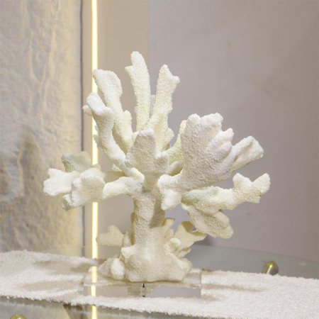 تحفة محار كبير بولاريزن قاعدة كرستال EL31/5 =ك7