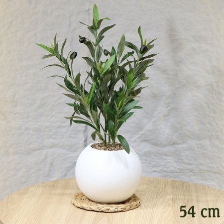 قوار بلاستك طابة ابيض زيتون 54سم عروق اخضر EL86/4 =ط58